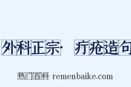 外科正宗·疔疮造句是什么意思的图片